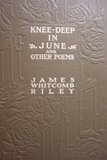 Cover art for Knee-Deep in June and Other Poems