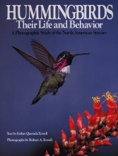Cover art for Hummingbirds, Their Life and Behavior: A Photographic Study of the North American Species