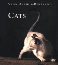 Cover art for Cats