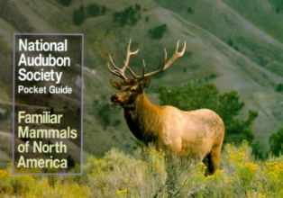 Cover art for National Audubon Society Pocket Guide to Familiar Mammals (National Audubon Society Pocket Guides)