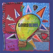 Cover art for Accidental Genius