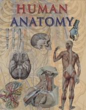 Cover art for Human Anatomy