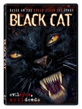 Cover art for Black Cat