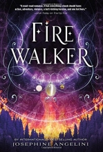Cover art for Firewalker (The Worldwalker Trilogy)