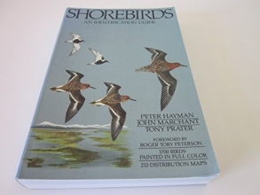 Cover art for Shorebirds; an identification guide to the waders of the world.