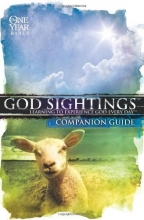 Cover art for God Sightings: The One Year Companion Guide