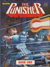 Cover art for The Punisher Book One