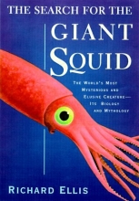 Cover art for The Search for the Giant Squid
