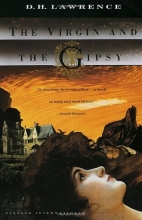 Cover art for The Virgin and the Gipsy