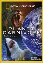 Cover art for Planet Carnivore: Sharks and Lions