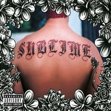 Cover art for Robbin' the Hood