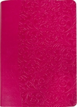 Cover art for The Everyday Life Bible: The Power of God's Word for Everyday Living