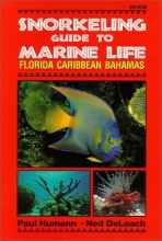 Cover art for Snorkeling Guide to Marine Life Florida, Caribbean, Bahamas