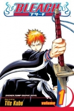 Cover art for Bleach, Vol. 1