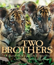 Cover art for Two Brothers: A Fable on Film and How It Was Told (Newmarket Pictorial Moviebooks)