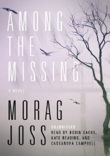 Cover art for Among the Missing: A Novel