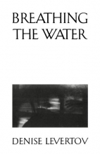 Cover art for Breathing the Water