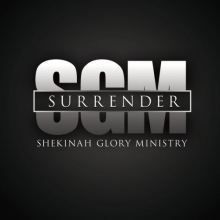 Cover art for Surrender