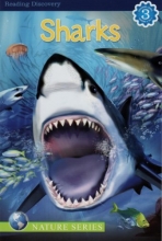 Cover art for Sharks (Reading Discovery - Nature)