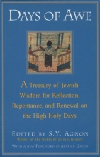 Cover art for Days of Awe: A Treasury of Jewish Wisdom for Reflection, Repentance, and Renewal  on the High  Holy Days