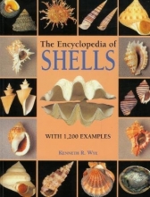 Cover art for The Encyclopedia of Shells
