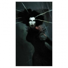 Cover art for Vampires