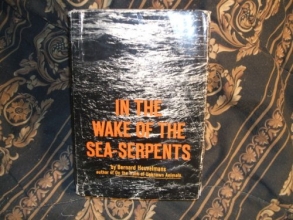 Cover art for In the Wake of the Sea-Serpents