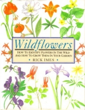 Cover art for Wildflowers: How to Identify Flowers in the Wild and How to Grow Them in Your Garden