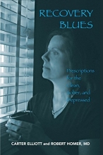 Cover art for Recovery Blues: Prescriptions for the Clean, Sober, and Depressed