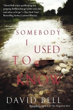 Cover art for Somebody I Used to Know