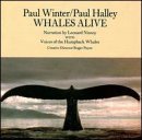 Cover art for Whales Alive