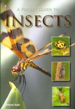 Cover art for A Pocket Guide to Insects