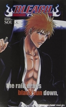 Cover art for Bleach SOULs. Official Character Book