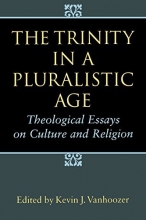 Cover art for The Trinity in a Pluralistic Age: Theological Essays on Culture and Religion