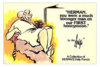Cover art for Herman, You Were a Much Stronger Man on Our First Honeymoon