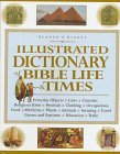 Cover art for Illustrated Dictionary of Bible Life and Times
