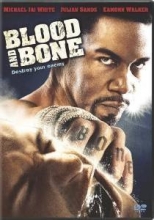 Cover art for Blood and Bone