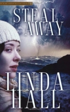 Cover art for Steal Away (Teri Blake-Addison Mystery Series #1)