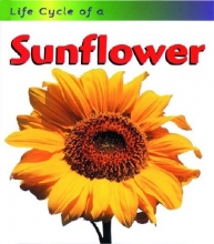 Cover art for Sunflower (Life Cycle of A...)