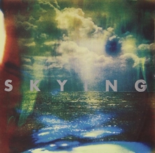 Cover art for Skying