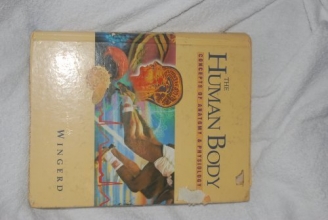 Cover art for The Human Body: Concepts of Anatomy and Physiology