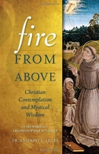 Cover art for Fire from Above