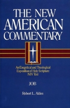 Cover art for The New American Commentary Volume 11 - Job