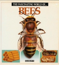 Cover art for The Fascinating World of Bees