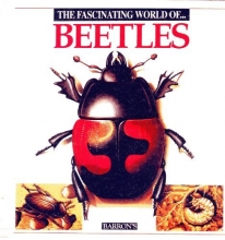 Cover art for The Fascinating World of Beetles