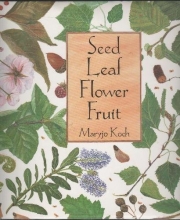Cover art for Seed Leaf Flower Fruit