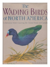Cover art for Wading Birds Of North America (North of Mexico)