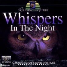 Cover art for Whispers In The Night