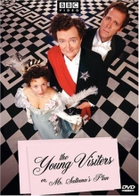 Cover art for The Young Visiters