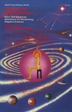 Cover art for Fusion of the Five Elements, Vol. 1: Basic and Advanced Meditatinos for Transforming Negative Emotions (Taoist Inner Alchemy Series)